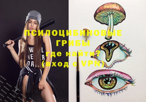 PSILOCYBIN Беломорск